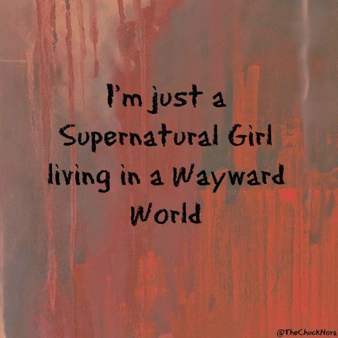 Supernatural Series, Supernatural Pictures, Supernatural Quotes, Supernatural Memes, Supernatural Dean, Odaiba, Supernatural Fans, Supernatural Funny, Supernatural Cast