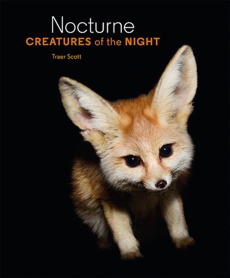 Nocturne is a wonderful photo series turned photo book by photographer Traer Scott featuring those sometimes cute, sometimes terrifying creatures that lurk in the darkness. http://petapixel.com/2014/09/08/nocturne-creatures-night-captures-mysterious-creatures-lurk-darkness/ Giant Moth, Nonfiction Books For Kids, Night Book, Nocturnal Animals, Creatures Of The Night, Animals Of The World, Shelter Dogs, Nonfiction Books, Big Cats