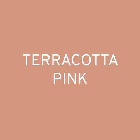 ALINA SCHARTNER on Instagram: “Colour in context: Terracotta Pink Simple description: an earthy pink Notes for usage: As the fascination with Millenial Pink is slowly…” Pink Notes, Earthy Pink, Pink Terracotta, Terracotta Pink, Millenial Pink, Natural Luxury, Hair Boutique, Ultramarine Blue, Cinnamon Brown