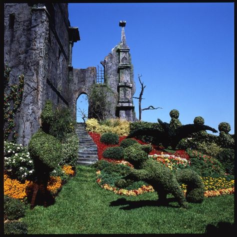 And the rest of the castle’s lush garden. | 13 Creepy Behind-The-Scenes Photos Of "Edward Scissorhands" Edward Scissorhands Movie, Tim Burton Personajes, Old Castle, Film Vintage, Johnny Depp Movies, Tim Burton Films, Tim Burton Movie, Edward Scissorhands, Outdoor Quotes