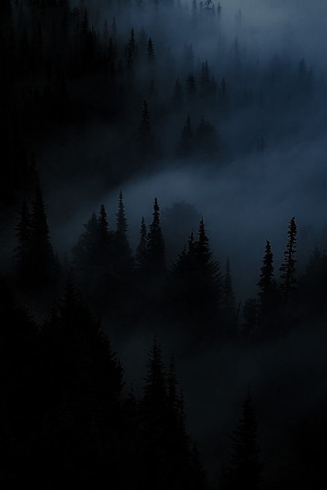 Dark Naturalism Aesthetic, Haunted Woods, Dark Naturalism, Dark Forest Aesthetic, Dark Summer, Dark Castle, Dark Romance Books, Dark Paradise, Magic Forest