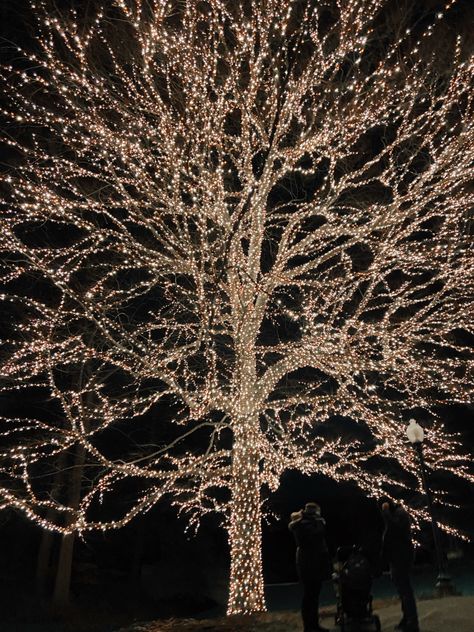 Elegant Tree Lights, Lit Up Trees Wedding, Light Up Trees For Wedding, Christmas Tree Lighting Event, Tree Uplighting, Outdoorsy Decor, Uplit Trees Outdoor Lighting, Light Up Tree, Led Tree