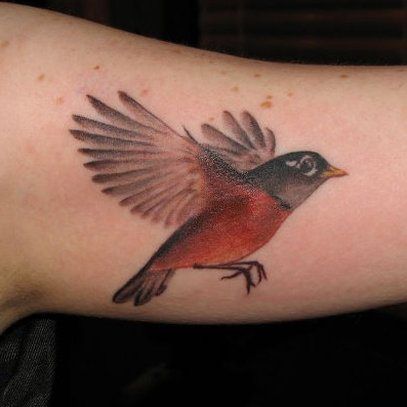 Inked Magazine offers the best tattoo style magazine. Read articles about celebritiesPrice - 1 - rzETZTBL American Robin Tattoo, Robin Tattoos, Realistic Bird Tattoo, Quotes Tattoo Ideas, Robin Bird Tattoos, Robin Tattoo, Bluebird Tattoo, Flower Shoulder Tattoo, Bird Tattoos