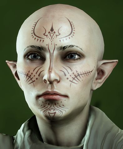 Dragon Age Vallaslin, Vallaslin Dragon Age, Frost Makeup, Inquisitor Lavellan, Dystopian Book, Elf Face, Hands Art, Facial Tattoos, Art Concepts