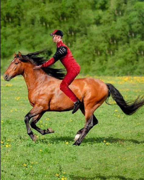 charles leclerc on a horse Charles Leclerc Mad, Ferrari Horse, F1 Memes, Ferrari F1, Charles Leclerc, Jump Rope, Sochi, A Horse, Horse Riding