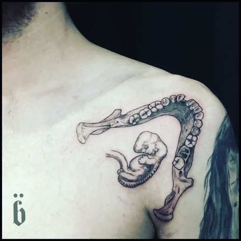 Animal Bone Tattoo, Jaw Bone Tattoo, Jaw Tattoo, Bone Tattoos, Jaw Bone, Animal Bones, Tattoo Ink, Tattoo Inspo, Body Tattoos