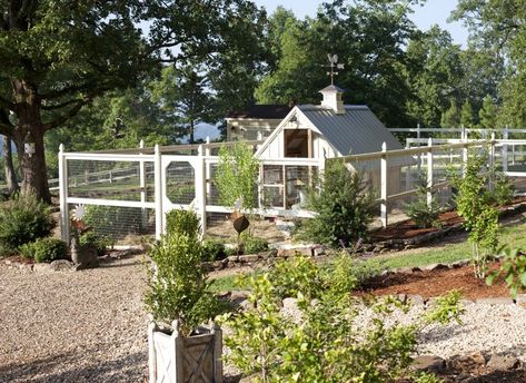 Chicken Coups, Chicken Coop Decor, Chicken Coop Garden, Chicken Coup, Crazy Chicken, Chicken Coop Designs, Coop Plans, Chicken Garden, Building A Chicken Coop