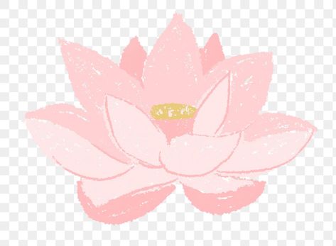 Lotus Flower Png, Lotus Clipart, Pink Illustration, Sticker Flower, Png Flower, Pink Lotus, Free Illustrations, Summer Flowers, Free Png