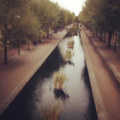 Canada Water, London, UK Canada Water London, Rivers Of London, London River Thames, Regents Canal London, London Underground Tube, London England, Railroad Tracks, England, Beautiful Places