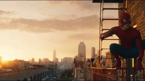 Spider Man on his fire escape in Sunnyside, Queens, New York - Spiderman Homecoming Spider Man Homecoming 2017, Ben Reilly, Spider Man Homecoming, Tom Holland Spiderman, Spiderman Homecoming, Sony Pictures, Fan Book, Amazing Spider, Robert Downey Jr