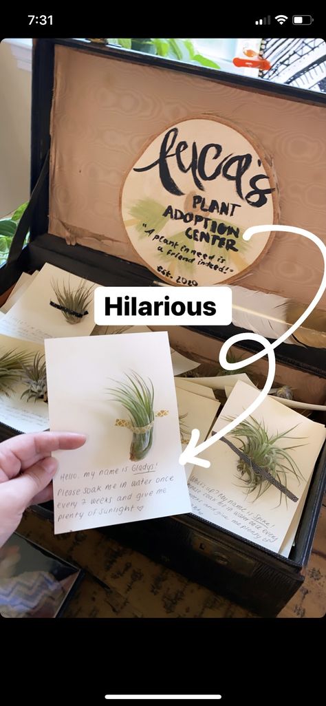 Plant Shower Favors, Back To School Plant Gift, Air Plant Party Favors, Air Plant Favors, Plant Bachelorette Party Ideas, Air Plant Gift Ideas, Plant Baby Shower Favors, Plant Gender Reveal, Nature Themed Party Favors