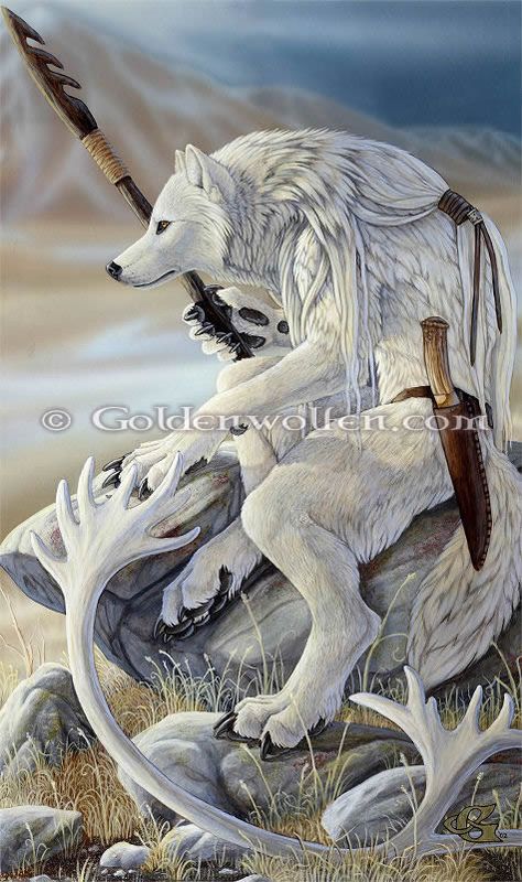 "Vantage Point" by Christy "Goldenwolf" Grandjean Acrylic painting on 23″ X 39″ Illustration Board. 2002. Creature Fantasy, Irish Folklore, Werewolf Art, Wolf Spirit, White Wolf, Wolf Art, Mystical Creatures, Arte Animal, Arte Fantasy