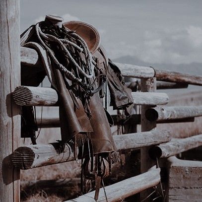 Rancher Aesthetic, Jack Hawthorne, Shelby Core, Heartless Aesthetic, Cowboy Reference, Rural Aesthetic, Country Romance, Chestnut Springs, Elsie Silver