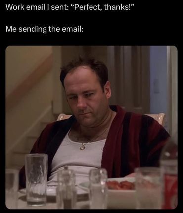 Email I sent: Perfect, thanks! Me sending the email: tony soprano Christopher Sopranos, Funny Sunday Memes, Sopranos Poster, Funny Sunday, Sunday Humor, James Gandolfini, Tony Soprano, Tv Icon, Daily Mood