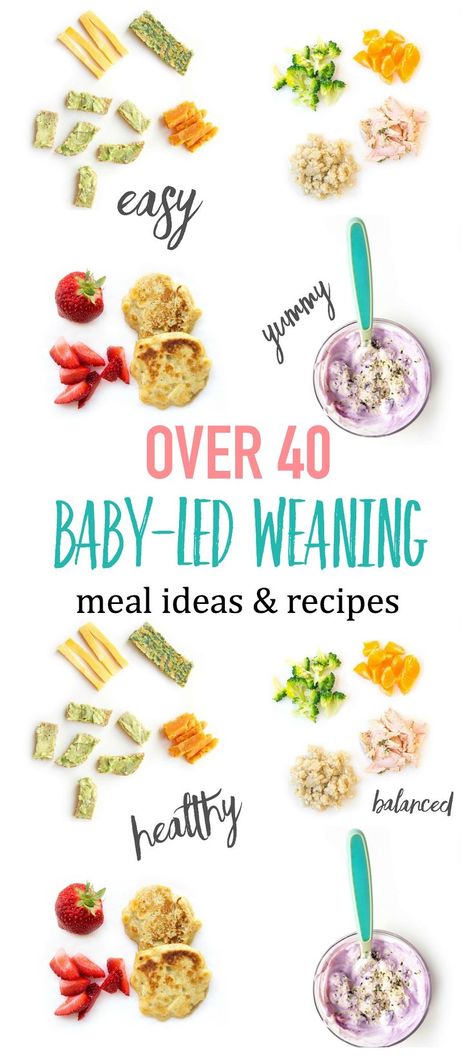 Baby Led Weaning 7 Months, Baby Led Weaning Breakfast, Baby Led Weaning First Foods, Weaning Foods, Baby Led Feeding, Baby Led Weaning Recipes, Healthy Baby Food, Baby First Foods, Weaning Recipes