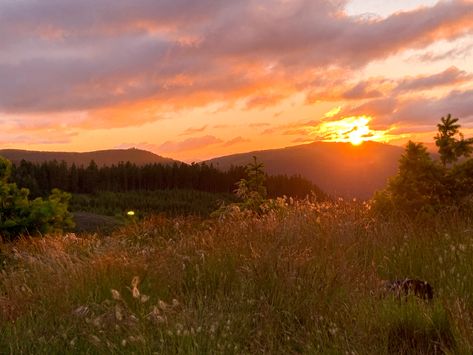 This sunning sunset is over the Callahan mountains. This incredible spot is located in Oregon, United States of America. The mountains are known for its trails and wilderness. The beautiful sunset is covered with purples, oranges, and yellows. That are being reflected by the clouds. The front ground of the photo is covered in wild grass and flowers. This photo is a great reminder of an Oregon summer! Sunset In Grass Field, Sunrise Over Field, Sunset Cover Photo, Sunset Reference, Mountains With Sunset, Meadow Sunset, Sunset In The Forest, Hill Sunset, Mountain Field