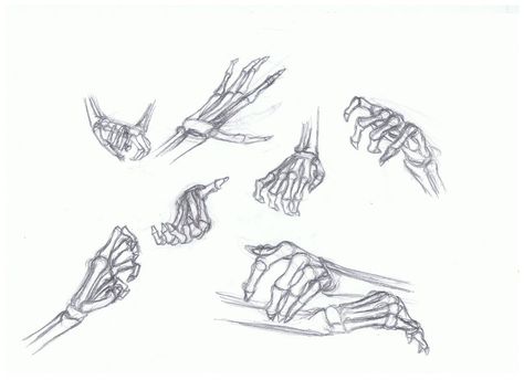 Skeleton Hand Poses Reference, Skeleton Hand Poses Drawing, Skeleton Hand Side View, Hand Bones Sketch, Skeleton Hand Reaching Out, Skeleton Hand Drawing Reference, Skeleton Hand Reference, Skeleton Hand Poses, Skeleton Hand Holding Something