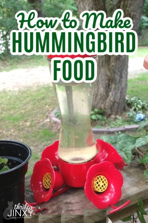 It's easy to make your own homemade hummingbird food in only a few minutes. It's less expensive than pre-made food and the birds love it!rn#Hummingbirds #HummingbirdFood #Birds #WildBirds #BirdFeeder Hummingbird Food Recipe, Make Hummingbird Food, Homemade Hummingbird Food, Hummingbird Nectar Recipe, Hummingbird Food, Hummingbird Nectar, Diy Birds, Bird Food, How To Make Diy