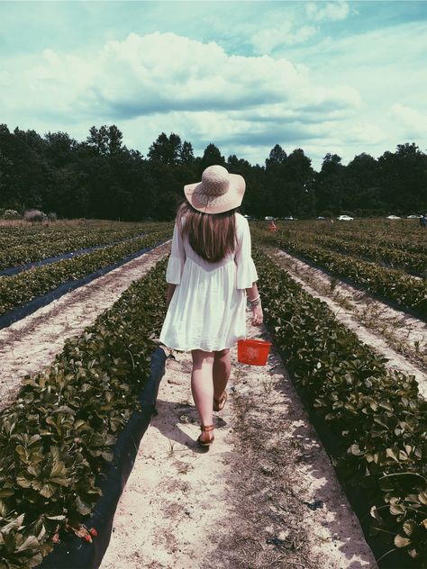 Strawberry picking outfits photoshoot Fruit Picking Photoshoot, Berry Picking Photoshoot, Strawberry Field Photoshoot, Strawberry Picking Photoshoot, Berry Picking Outfit, Strawberry Picking Photography, Strawberry Picking Pictures, Strawberry Picking Outfit, Berries Photography