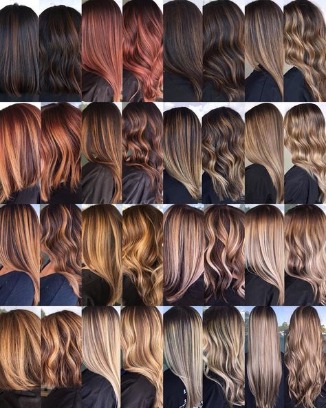 🍁☀️🔥Warm vs. Cool❄️💨💎 Can you see it?? The first two columns are warm, red/gold undertones. The last two columns are more cool, ash… Hair Colors For Warm Undertones, Warm Undertone Hair Color, Color Undertones, Hair Color Chart, Brown Hair Balayage, Hair Color Techniques, Balayage Brunette, Hair Shades, Brown Blonde Hair