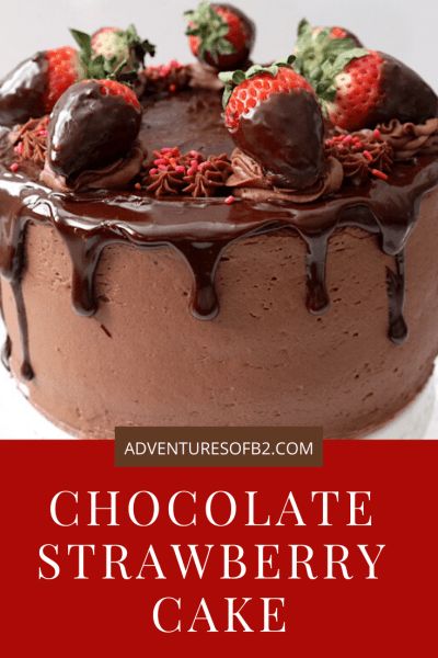 Chocolate Covered Strawberry Cake, Strawberry Cake Filling, Chocolate And Strawberry, Chocolate Strawberry Cake, Decadent Chocolate Cake, Cake Layers, Rich Chocolate Cake, Strawberry Filling, Strawberry Cakes