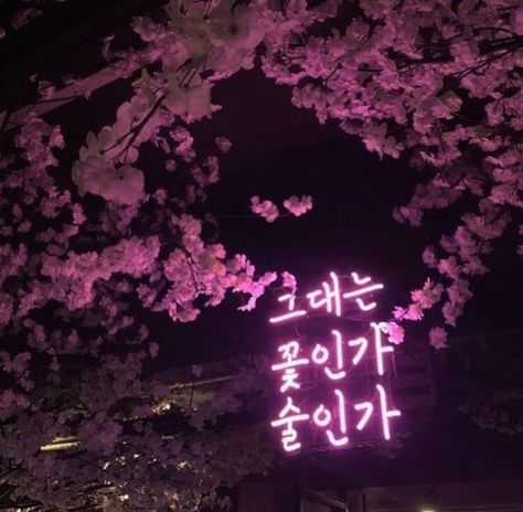 Pink Grunge, Aesthetic Korean, Baby Pink Aesthetic, Neon Aesthetic, Japan Aesthetic, Aesthetic Japan, Korean Aesthetic, Pretty Photos, Aesthetic Colors