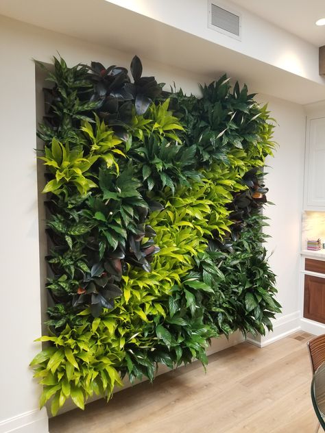 NextGen Living Wall, a great plant wall for your indoor space! Scandinavian Moss, Green Wall Garden, Vertical Garden Systems, Indoor Plant Wall, Vertical Garden Indoor, Vertical Garden Design, Living Wall Art, Reindeer Moss, Living Walls