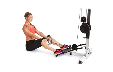 Seated Cable Row, Teres Major, Seated Row, Cable Row, Hip Bone, Latissimus Dorsi, Back Muscles, Back Exercises, Training Plan