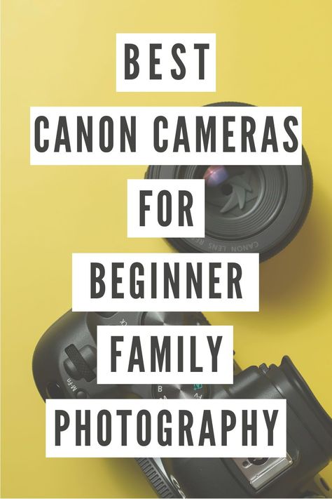 Starting a family photography business? In this guide, I help you find the perfect camera for family photography beginners and show you what to look for, the different types of cameras like a DSLR or a mirroless camera, and my camera recommendations. What Camera Should I Buy Photography, The Best Camera For Photography, Best Beginner Photography Cameras, Best Canon Camera For Photography, Best Starter Camera For Photography, Beginner Camera Photography, Starter Camera For Photography, Good Cameras For Photography, Best Cameras For Photography Beginners