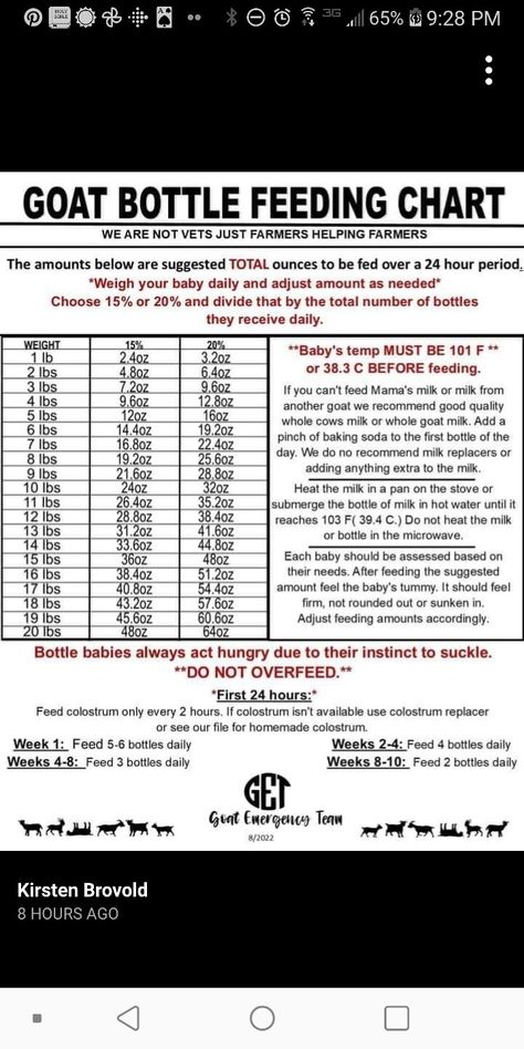 Bottle Calf Feeding Schedule, Bottle Feeding Chart, Goat Food And Water Set Up, Goat Gestation Chart, What Can Goats Eat, Goat Knowledge, Goat Life, Feeding Goats, Temperature Chart