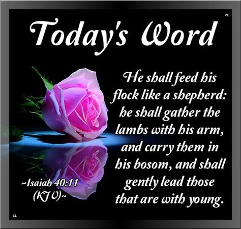 Isaiah 40:11 KJV Hallelujah and more Blessings!! Verse Of The Day Kjv, Christian Post, Gods Love Quotes, Joshua 1, Bride Of Christ, For God So Loved The World, Morning Blessings, Gospel Of Jesus Christ, Biblical Quotes