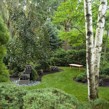 Use columnar trees in a small yard since they won't grow as large in circumference. Good to know. Landscaping Around Trees, Privacy Landscaping, Meditation Garden, Garden Shrubs, Small Yard, Landscape Projects, Trees And Shrubs, Lush Green, Dream Garden