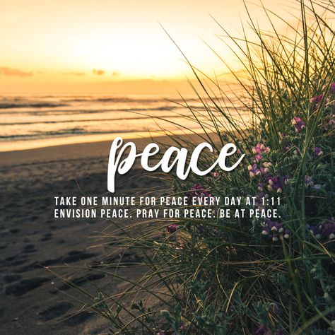 Make this a daily practice. Take one minute at 1:11 to envision peace, pray fpr peace, and be at peace. Pray For World, Pray For World Peace, Be At Peace, Pray For Peace, Prayer Board, At Peace, Daily Practices, World Peace, Veterans Day