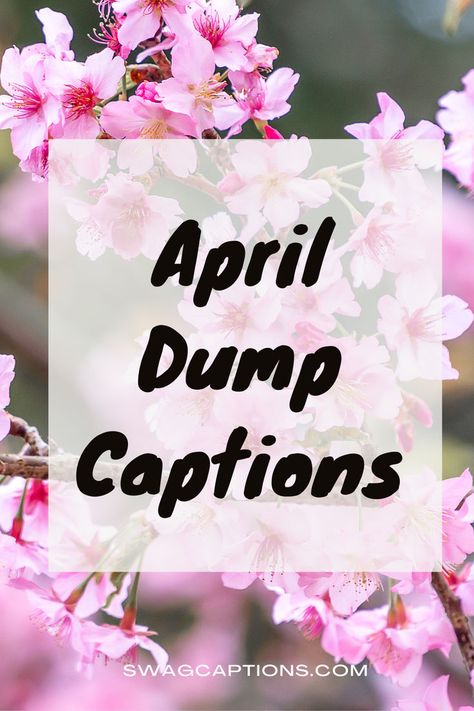 Sprinkle a little spring charm on your feed with these April Dump Captions! Whether it's blooming flowers or April showers, find the perfect words to capture the essence of the season. Pin now for instant inspiration! April Captions, Pre Wedding Quotes, Red Dress Quotes, April Dump, Halloween Captions, Solo Travel Quotes, Travel Captions, Caption For Yourself, Perfect Word