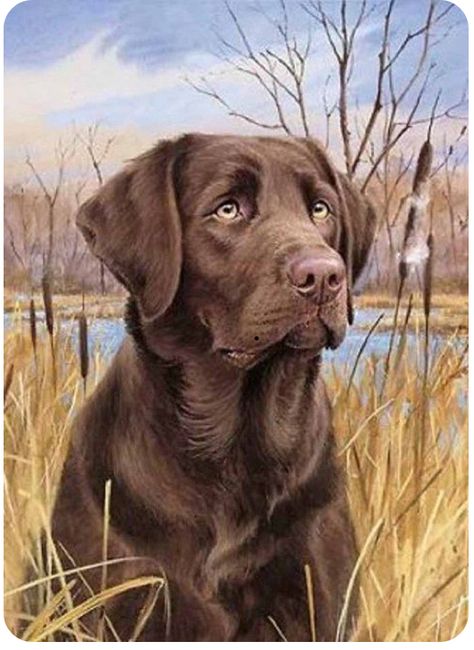 Lab Cross Stitch, Deer Wallpaper, Dog Portraits Painting, Dog Portraits Art, Labs Art, Hunting Art, Black Labrador Retriever, Handmade Dog Collars, Chocolate Lab