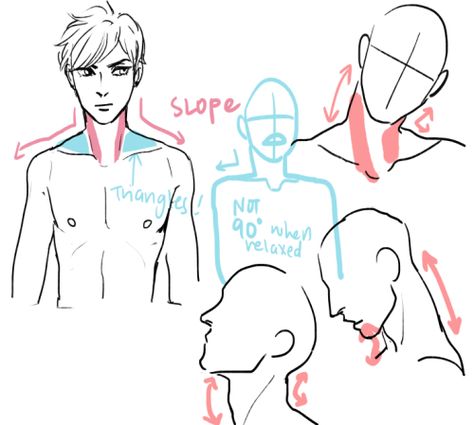 Anatomy Tutorial, 얼굴 그리기, Anatomy Drawing, Poses References, Guided Drawing, Guy Drawing, Anatomy Reference, Drawing Practice, Drawing Base