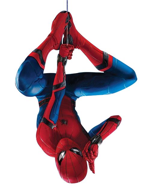 Spiderman Upside Down, Spiderman Poses, Spiderman Images, Spiderman Tattoo, Parker Spiderman, Peter Parker Spiderman, Spiderman Drawing, Hanging Upside Down, Spiderman Spider