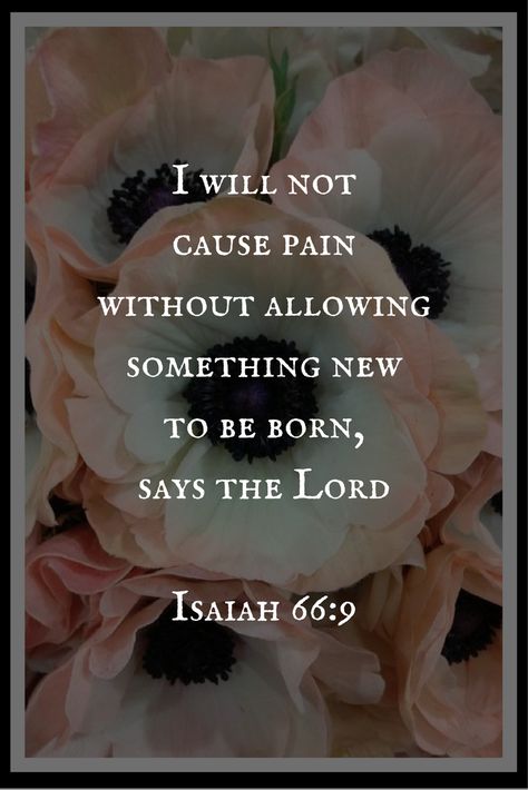 “Acceptance of what has happened is the first step  to overcoming the consequences of any misfortune.”   William James Ayat Alkitab, Troubled Times, Prayer Scriptures, Inspirational Bible Quotes, Biblical Quotes, Inspirational Bible Verses, Favorite Bible Verses, Bible Encouragement, Prayer Quotes