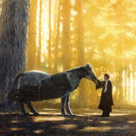 Harry And Buckbeak, Harry Potter Oil Painting, Buckbeak Art, Buckbeak Drawing, Harry Potter Ghosts, Buckbeak Harry Potter, Harry Potter Creatures, The Forbidden Forest, Forbidden Forest