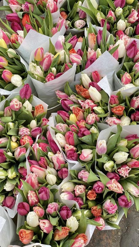 Boquette Flowers, Tulip Bouquet, Nothing But Flowers, Flower Therapy, Beautiful Bouquet Of Flowers, Luxury Flowers, Tulips Flowers, Love Flowers, Flowers Photography