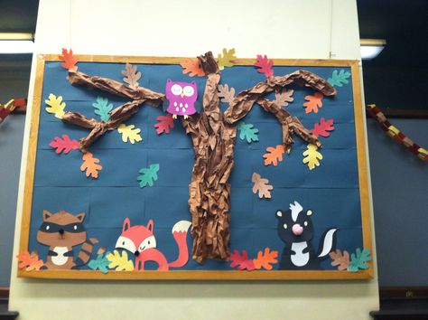 Fall bulletin board. Woodland animals. Woodland Theme Preschool Classroom, Fox Bulletin Board Ideas, Forest Animal Bulletin Board Ideas, Woodland Animals Bulletin Board, Forest Unit, Forest Theme Classroom, Tk Classroom, Woodland Classroom, Classroom Vibes