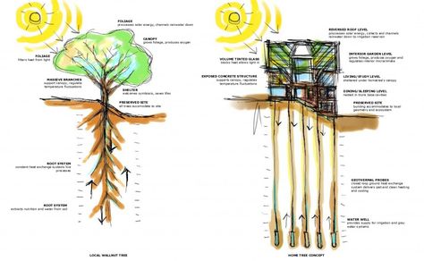 concept diagrama Borislav Ignatov Parti Diagram, Tree Of Life Artwork, Tree Diagram, Green House Design, Hotel Concept, Geothermal Energy, Interior Design Presentation, Architecture Concept Diagram, Architecture Wallpaper