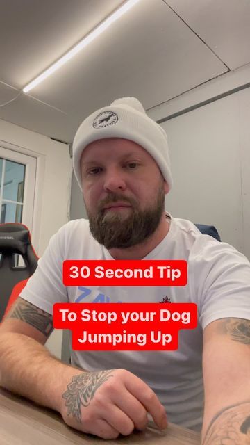 How To Stop Dog From Jumping On People, Whippet Puppy, Whippet Puppies, Puppy Stuff, Dog Training Tips, Puppy Training, Whippet, Dog Stuff, Training Your Dog