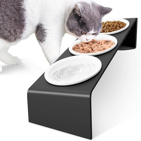 Vmglgig Ceramic Cat Food Bowls, 3PCS Cat Bowl With 15° Tilted Metal Stand,Raised Cat Bowls for Food and Water, Cat Feeding Station for Cats and Puppy : Amazon.co.uk: Pet Supplies Raised Cat Bowls, Feeding Station For Cats, Cat Feeding Station, Veterinary Science, Food Bowls, Cat Food Bowl, Feeding Station, Cat Bowl, Ceramic Cat