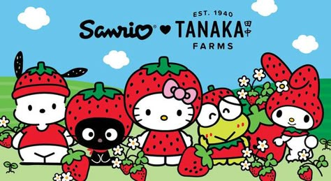 Sanrio Strawberry Wallpaper, Strawberry Hello Kitty, Hello Kitty Strawberry, Painting Pumpkin, Hello Kitty Wallpaper Hd, Berry Good, Strawberry Season, Kawaii Background, Flower Graphic Design