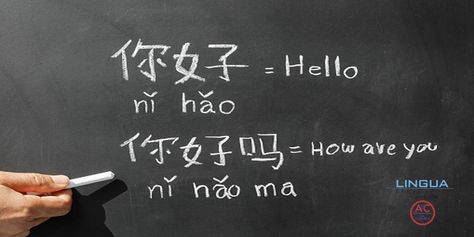 Considered one of the hardest languages to translate into and from, Chinese translation is definitely one of the most challenging of all the languages. Lingua Technologies International providing translation solutions for the Chinese speaking market, Chinese translation is definitely our forte. Contact Lingua Technologies International on +65 6576 0138 or visit to our website. Learn Chinese Alphabet, Cantonese Language, Chinese Alphabet, China Language, Photo School, Mandarin Language, Learning Chinese, Chinese Mandarin, Brain Learning