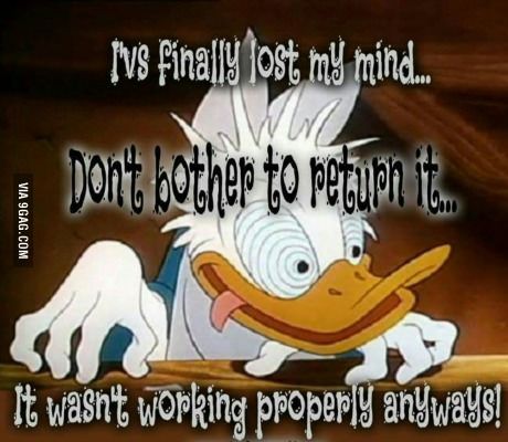 Cartoon Funny Quotes, Lost My Mind, Real Funny, Morning Quotes Funny, Classic Cartoon Characters, Funny Jokes For Adults, Funny Cartoon Quotes, Cartoon Quotes, Sarcastic Quotes Funny