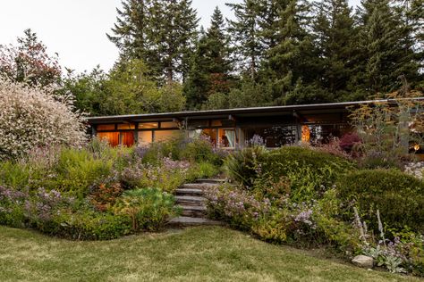 Small Apartment Garden, Ranch House Landscaping, Mid Century Modern Garden, Mid Century Landscaping, Mid Century Modern Ranch, Pacific Northwest Garden, Hilltop House, Pacific Northwest Style, Village Design