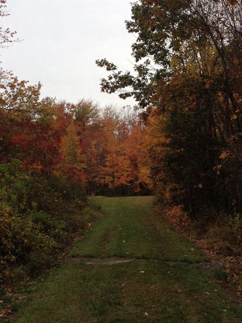 Rural Massachusetts, Massachusetts Autumn, Marlborough Massachusetts, Leominster Massachusetts, Massachusetts Aesthetic, Beverly Massachusetts, Crunchy Leaves, Crisp Air, Fall Inspo