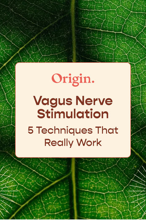 a close-up of a leaf Vagus Nerve Stimulating, Vagus Nerve Healing, Vagus Nerve Damage, Vagus Nerve Stimulator, Vagus Nerve, Pelvic Floor, Nerve, Science, Healing